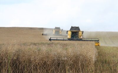 O-AMIE : Ingénierie des systèmes et analyse du cycle de vie au service de l’agroécologie