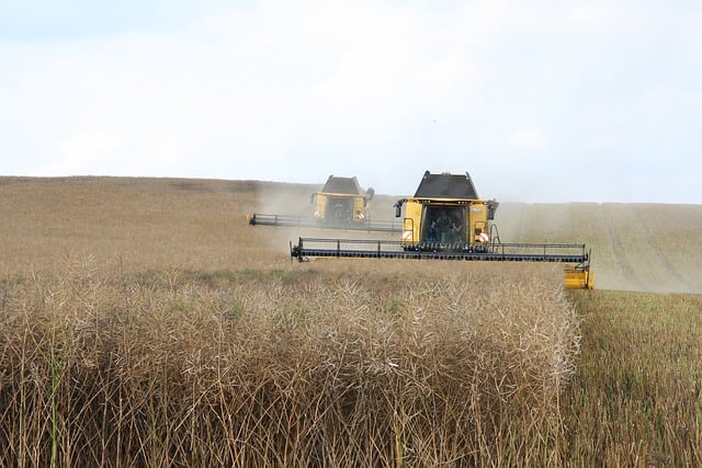 O-AMIE : Ingénierie des systèmes et analyse du cycle de vie au service de l’agroécologie